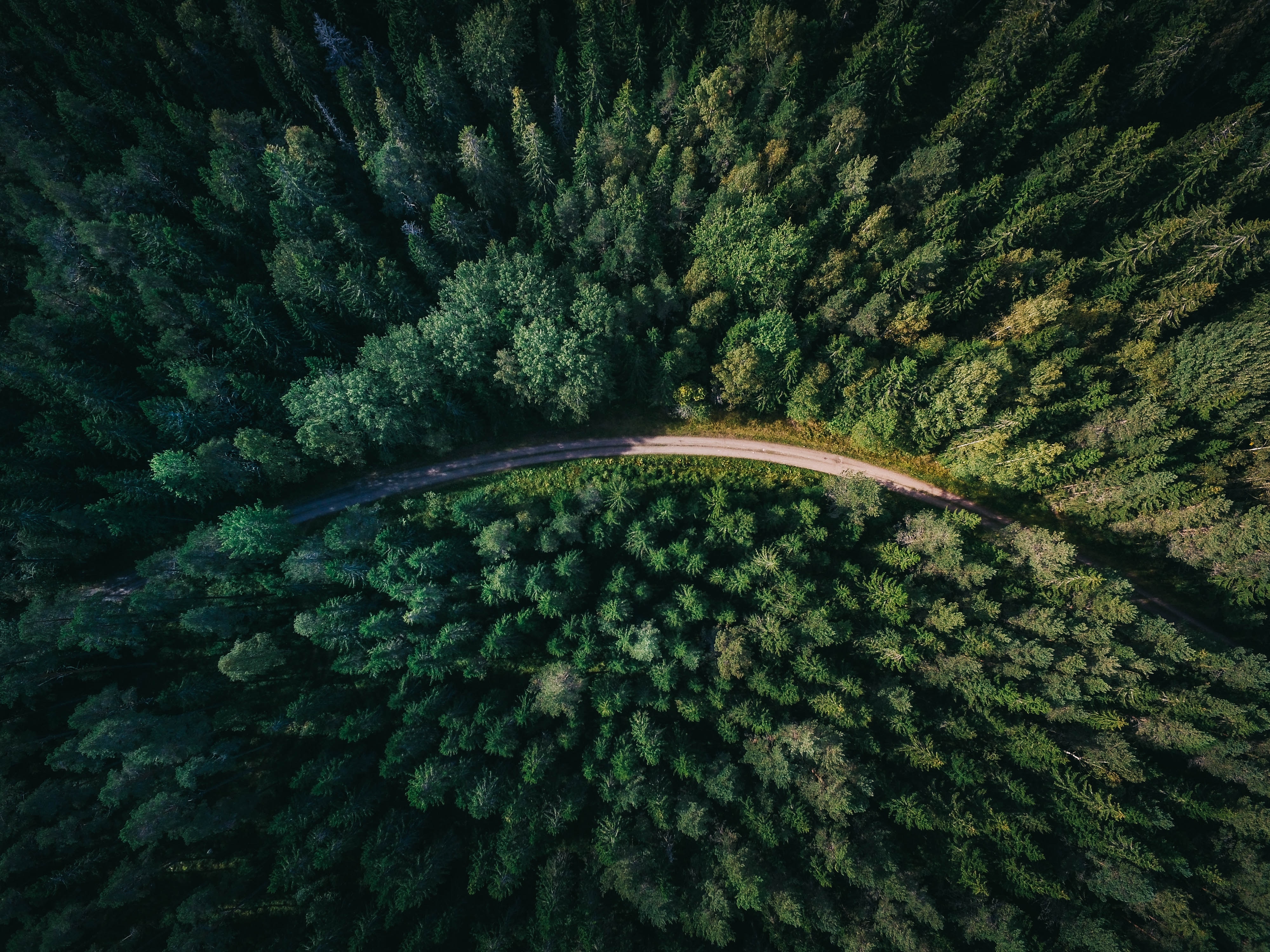 The environmental cost of delivery